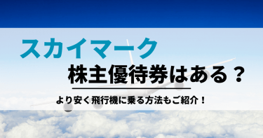 スカイマーク株主優待券はありません！より安く飛行機に乗る方法もご紹介！